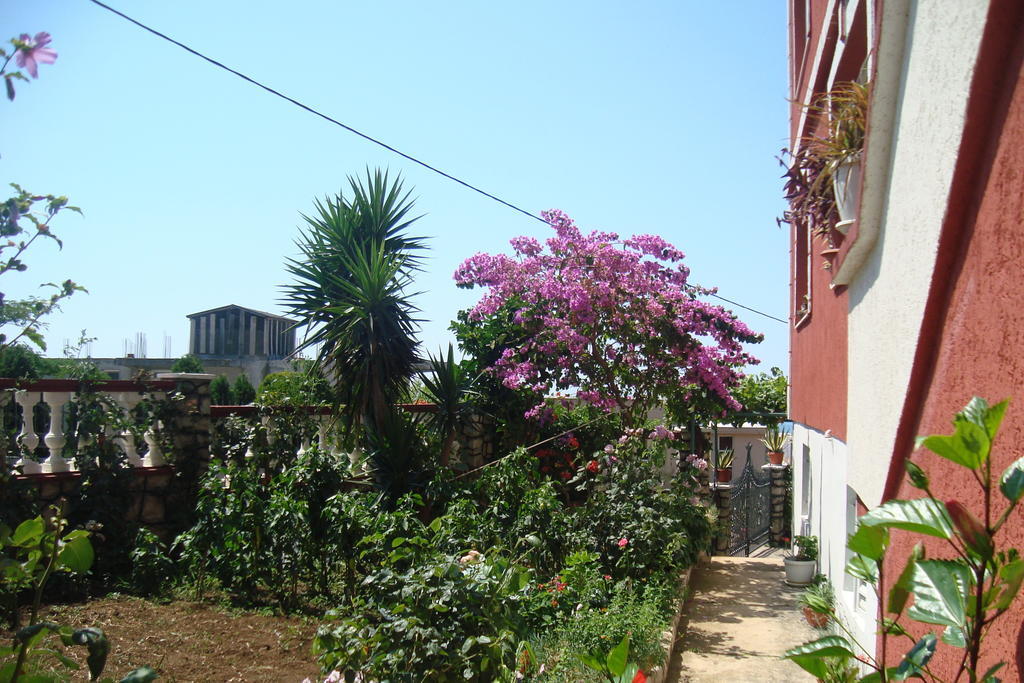 Alvanita Apartments Ulcinj Exterior foto